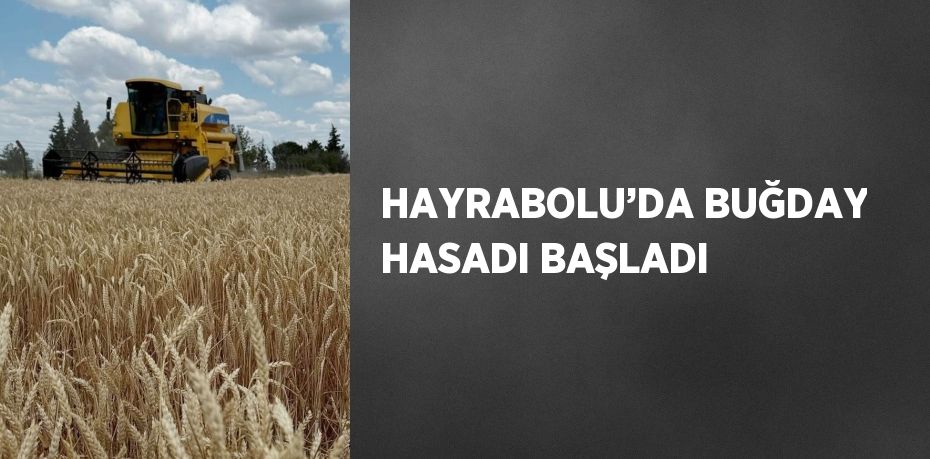 HAYRABOLU’DA BUĞDAY HASADI BAŞLADI