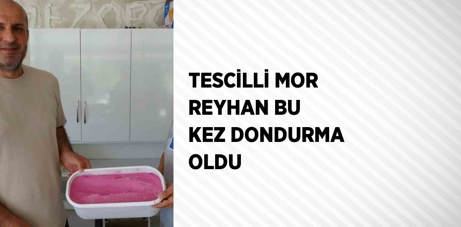 TESCİLLİ MOR REYHAN BU KEZ DONDURMA OLDU