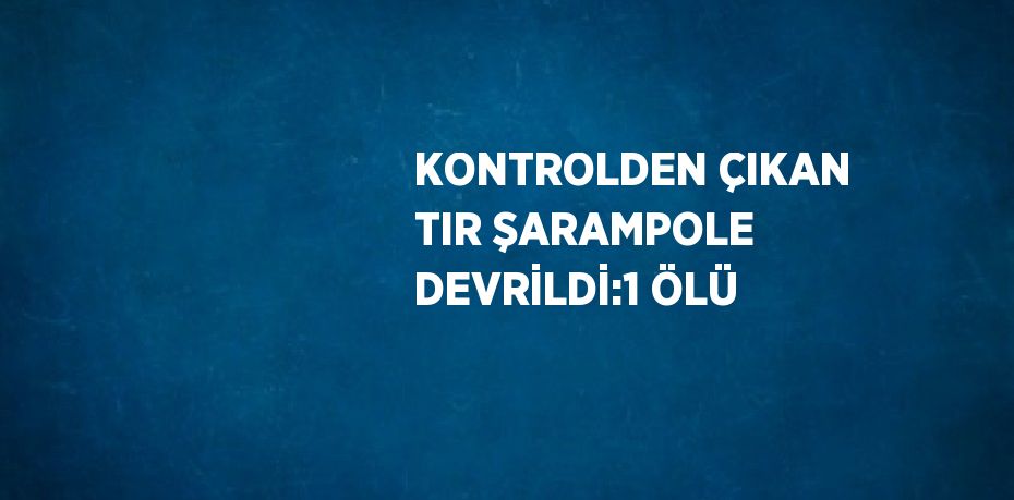 KONTROLDEN ÇIKAN TIR ŞARAMPOLE DEVRİLDİ:1 ÖLÜ