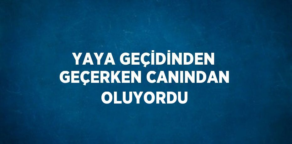 YAYA GEÇİDİNDEN GEÇERKEN CANINDAN OLUYORDU