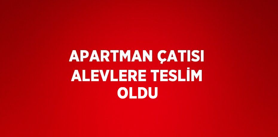 APARTMAN ÇATISI ALEVLERE TESLİM OLDU
