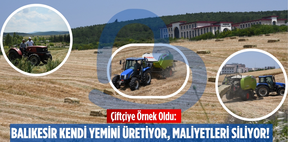 Çiftçiye Örnek Oldu: Balıkesir Kendi Yemini Üretiyor, Maliyetleri Siliyor!