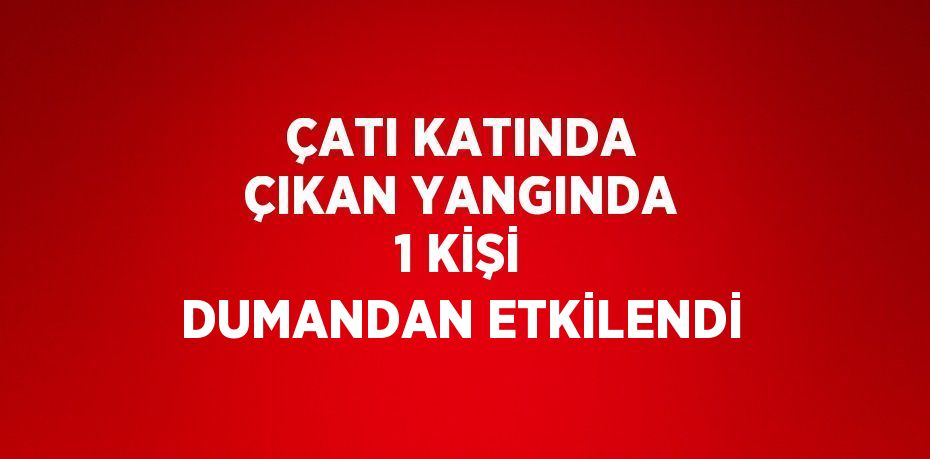 ÇATI KATINDA ÇIKAN YANGINDA 1 KİŞİ DUMANDAN ETKİLENDİ