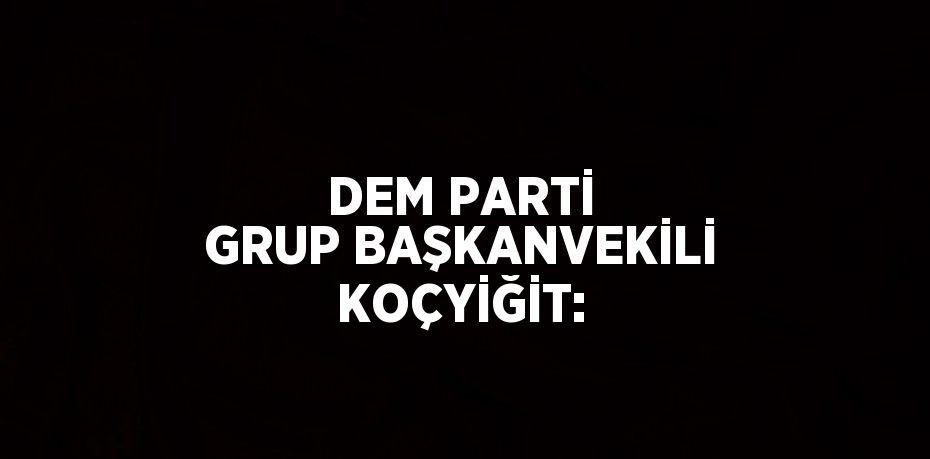 DEM PARTİ GRUP BAŞKANVEKİLİ KOÇYİĞİT: