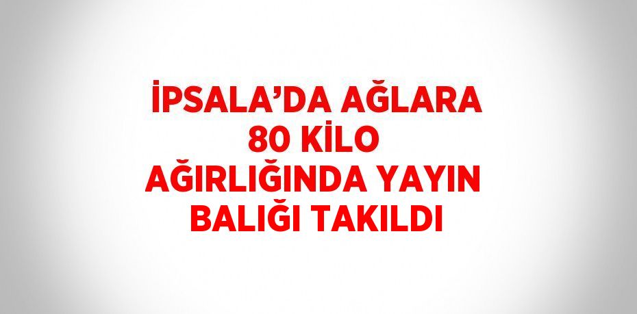 İPSALA’DA AĞLARA 80 KİLO AĞIRLIĞINDA YAYIN BALIĞI TAKILDI