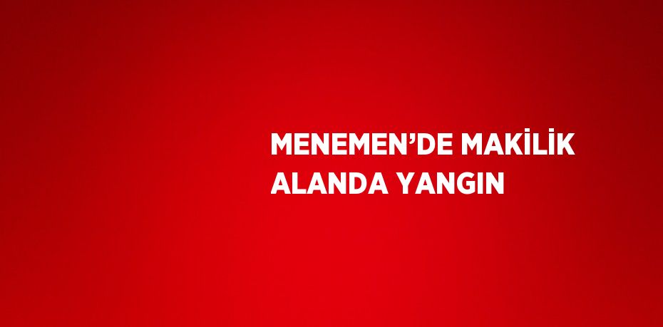 MENEMEN’DE MAKİLİK ALANDA YANGIN