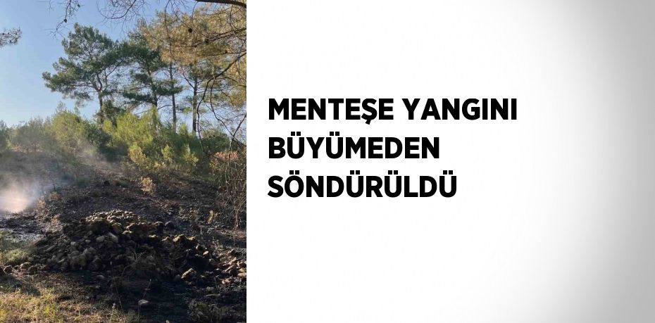 MENTEŞE YANGINI BÜYÜMEDEN SÖNDÜRÜLDÜ