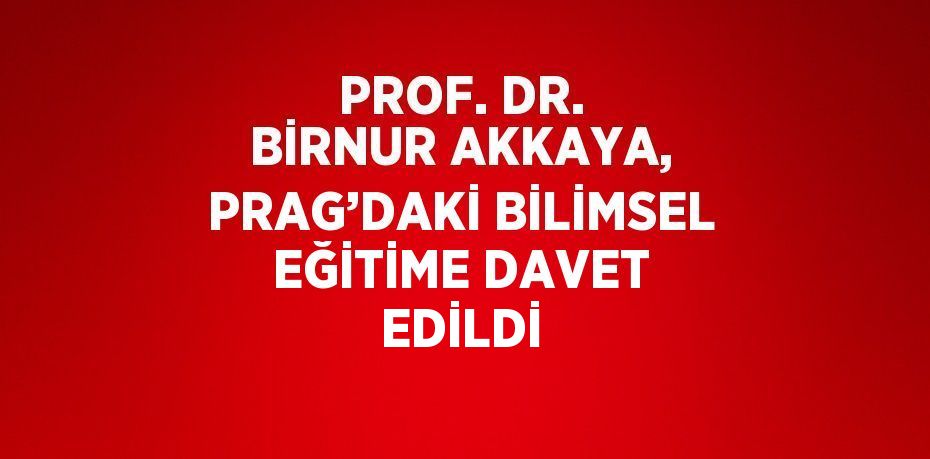 PROF. DR. BİRNUR AKKAYA, PRAG’DAKİ BİLİMSEL EĞİTİME DAVET EDİLDİ