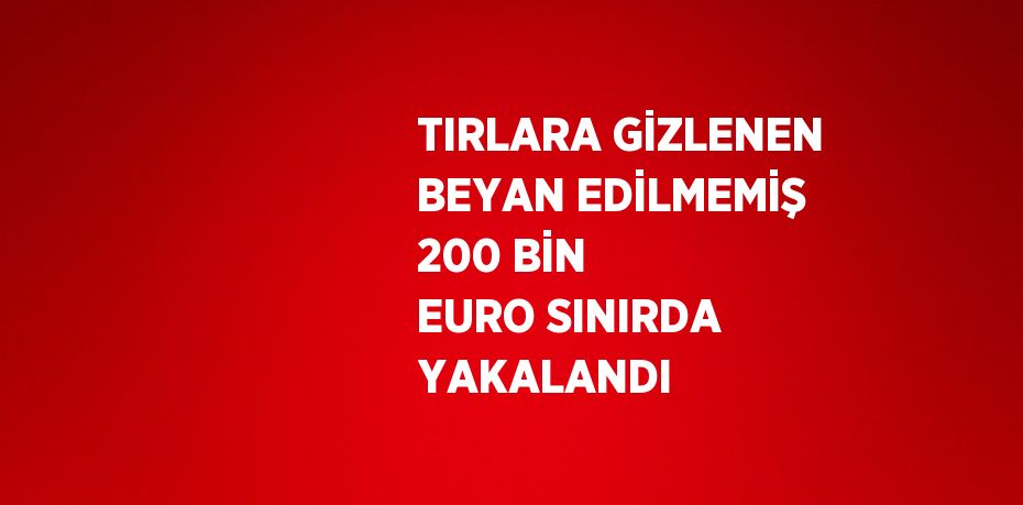 TIRLARA GİZLENEN BEYAN EDİLMEMİŞ 200 BİN EURO SINIRDA YAKALANDI