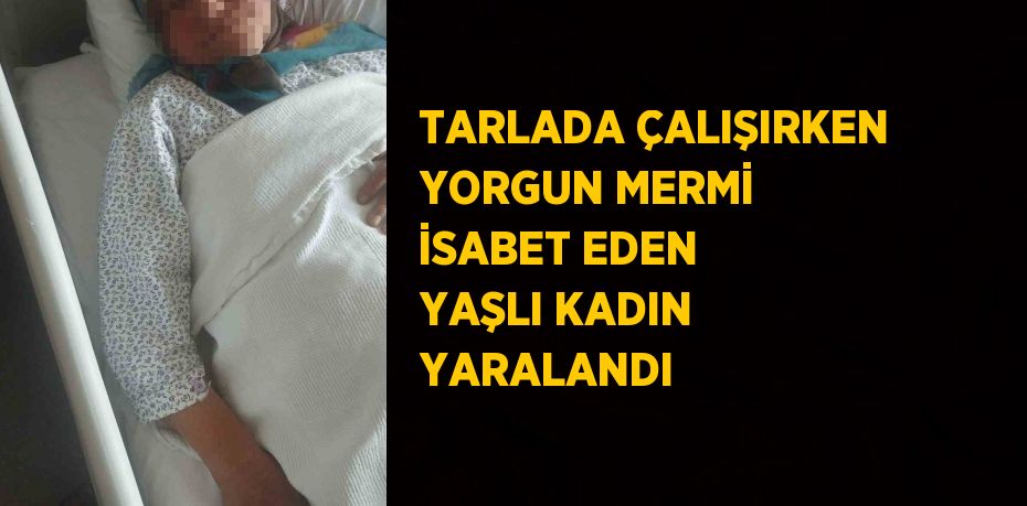 TARLADA ÇALIŞIRKEN YORGUN MERMİ İSABET EDEN YAŞLI KADIN YARALANDI