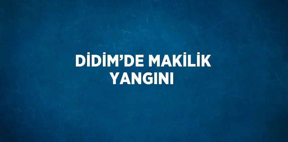 DİDİM’DE MAKİLİK YANGINI