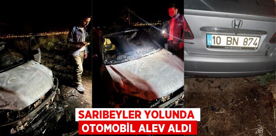 Sarıbeyler yolunda otomobil alev aldı