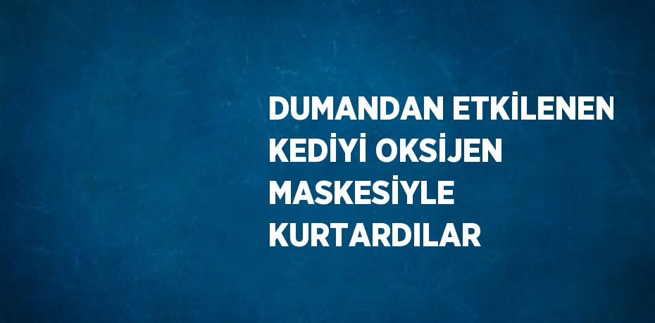 DUMANDAN ETKİLENEN KEDİYİ OKSİJEN MASKESİYLE KURTARDILAR
