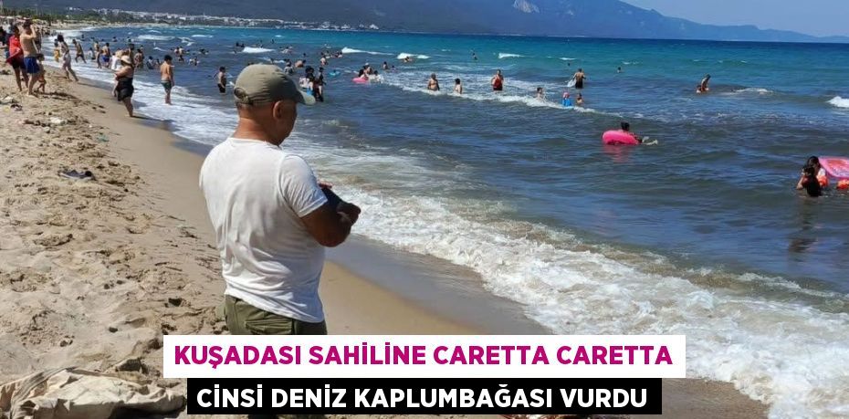 KUŞADASI SAHİLİNE CARETTA CARETTA CİNSİ DENİZ KAPLUMBAĞASI VURDU