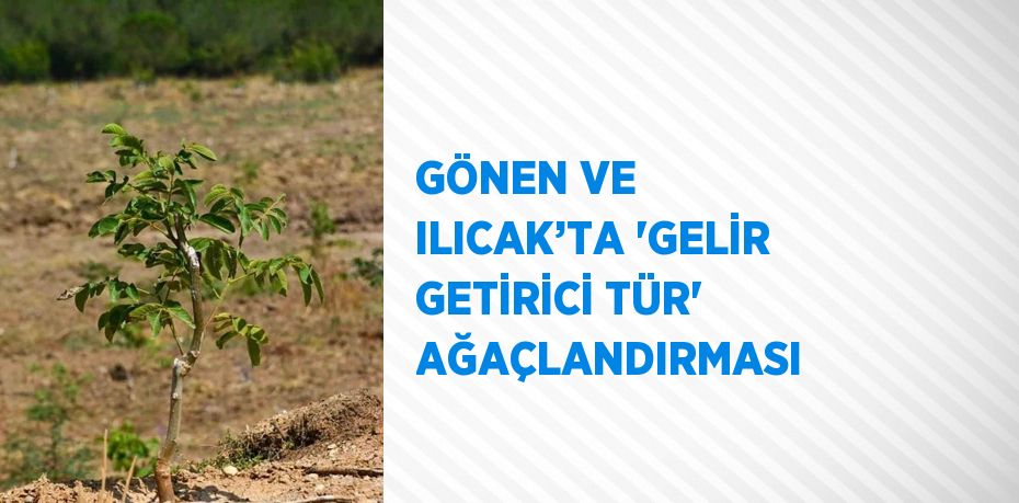 GÖNEN VE ILICAK’TA 'GELİR GETİRİCİ TÜR' AĞAÇLANDIRMASI