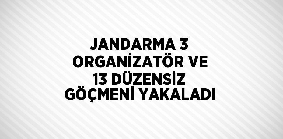 JANDARMA 3 ORGANİZATÖR VE 13 DÜZENSİZ GÖÇMENİ YAKALADI