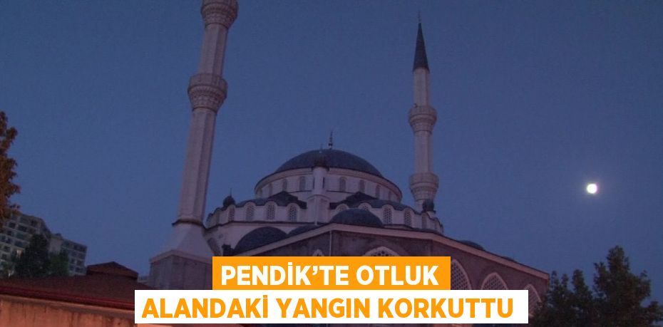 PENDİK’TE OTLUK ALANDAKİ YANGIN KORKUTTU