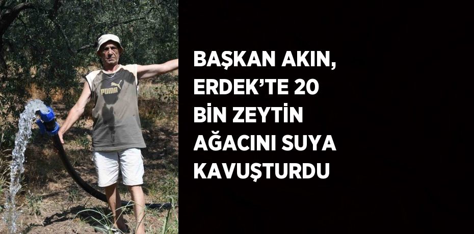 BAŞKAN AKIN, ERDEK’TE 20 BİN ZEYTİN AĞACINI SUYA KAVUŞTURDU