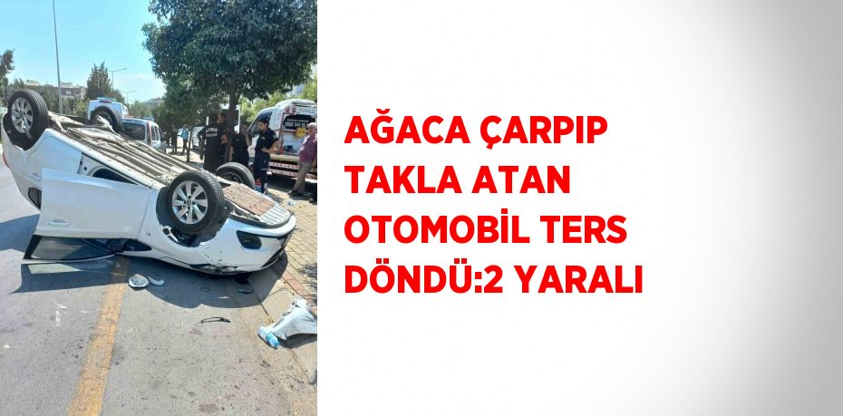 AĞACA ÇARPIP TAKLA ATAN OTOMOBİL TERS DÖNDÜ:2 YARALI