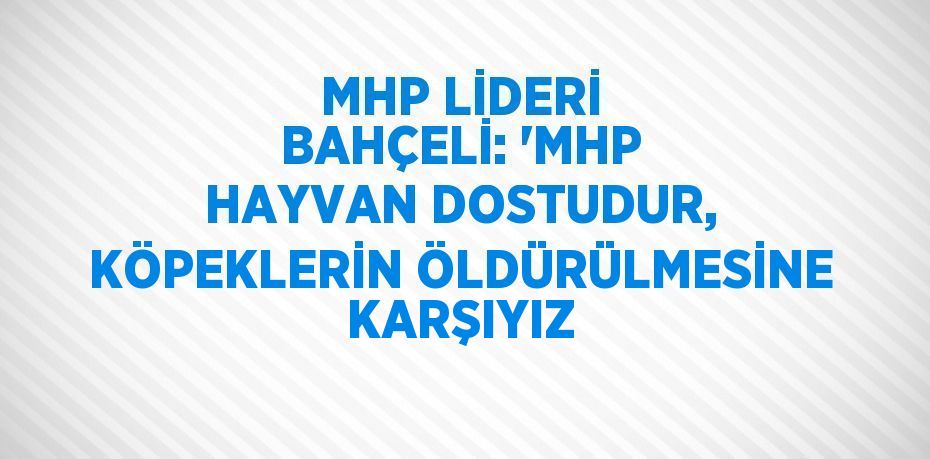 MHP LİDERİ BAHÇELİ: 'MHP HAYVAN DOSTUDUR, KÖPEKLERİN ÖLDÜRÜLMESİNE KARŞIYIZ