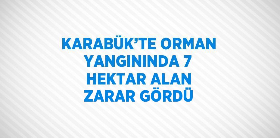 KARABÜK’TE ORMAN YANGININDA 7 HEKTAR ALAN ZARAR GÖRDÜ