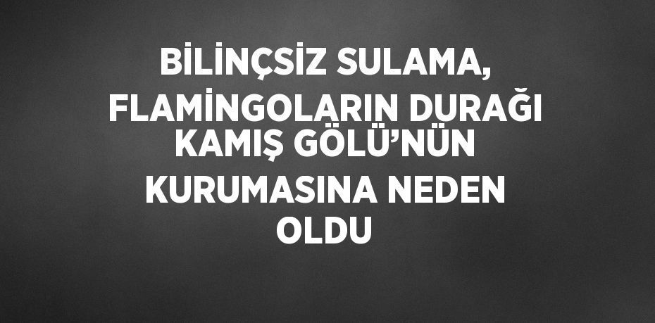 BİLİNÇSİZ SULAMA, FLAMİNGOLARIN DURAĞI KAMIŞ GÖLÜ’NÜN KURUMASINA NEDEN OLDU