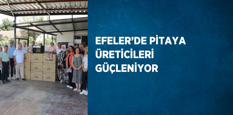 EFELER’DE PİTAYA ÜRETİCİLERİ GÜÇLENİYOR