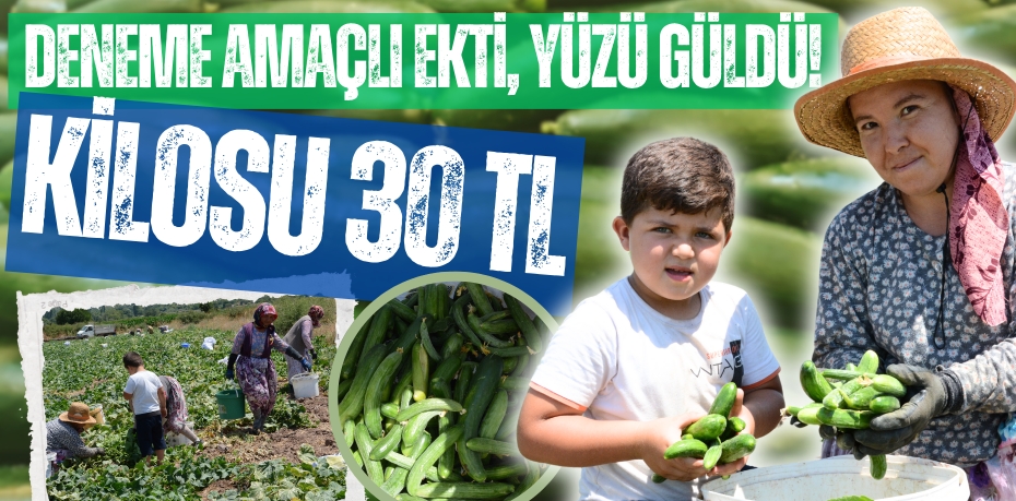 DENEME AMAÇLI EKTİ,  YÜZÜ GÜLDÜ! KİLOSU 30 TL