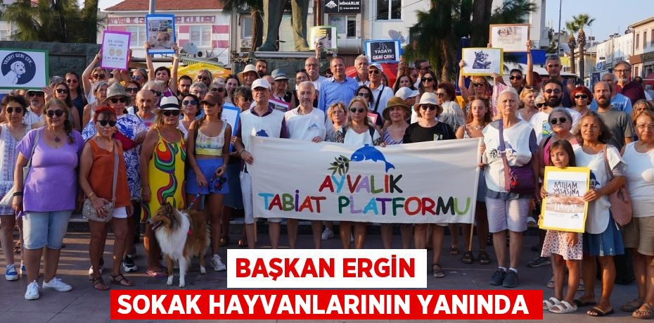 BAŞKAN ERGİN SOKAK HAYVANLARININ YANINDA