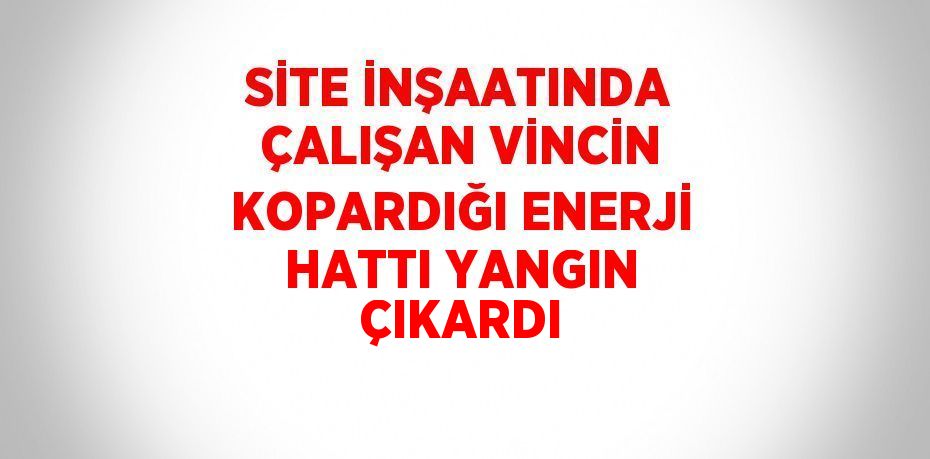 SİTE İNŞAATINDA ÇALIŞAN VİNCİN KOPARDIĞI ENERJİ HATTI YANGIN ÇIKARDI