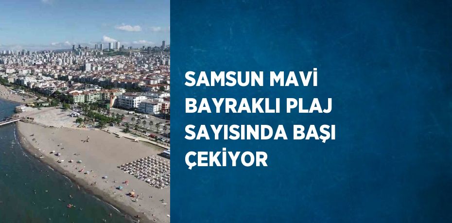 SAMSUN MAVİ BAYRAKLI PLAJ SAYISINDA BAŞI ÇEKİYOR