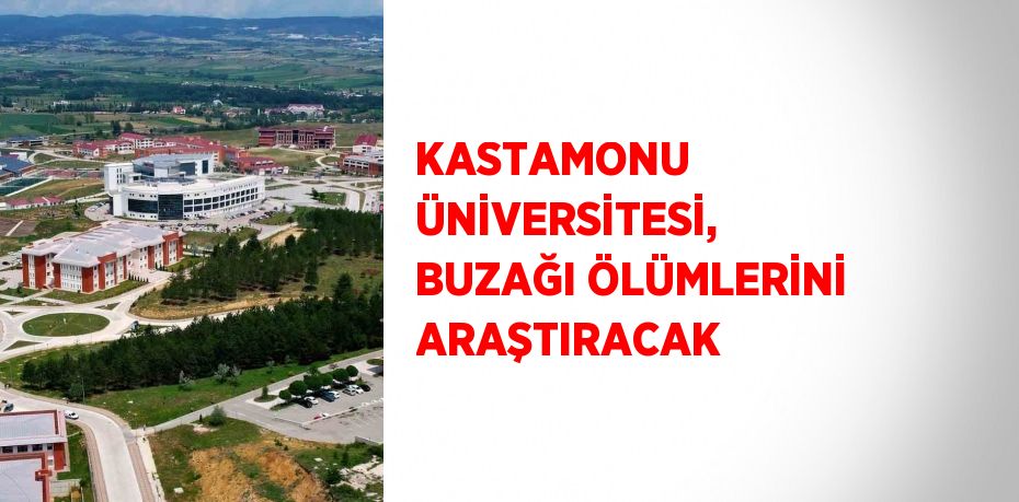 KASTAMONU ÜNİVERSİTESİ, BUZAĞI ÖLÜMLERİNİ ARAŞTIRACAK