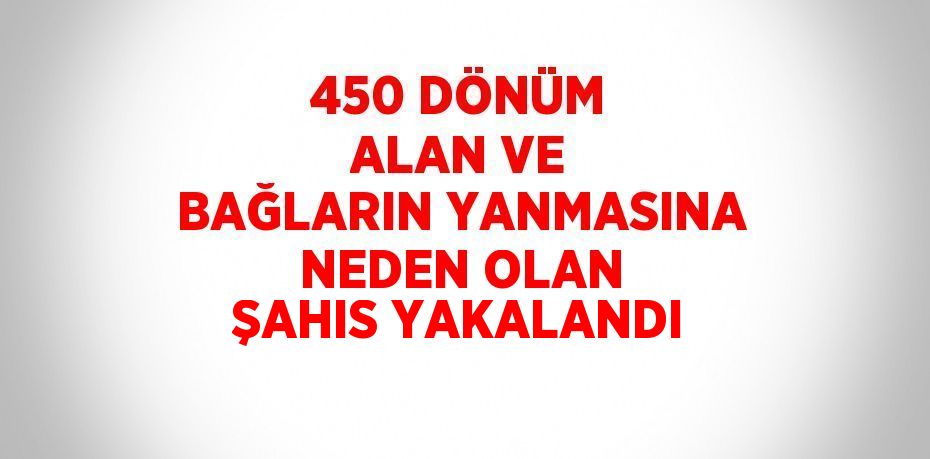 450 DÖNÜM ALAN VE BAĞLARIN YANMASINA NEDEN OLAN ŞAHIS YAKALANDI