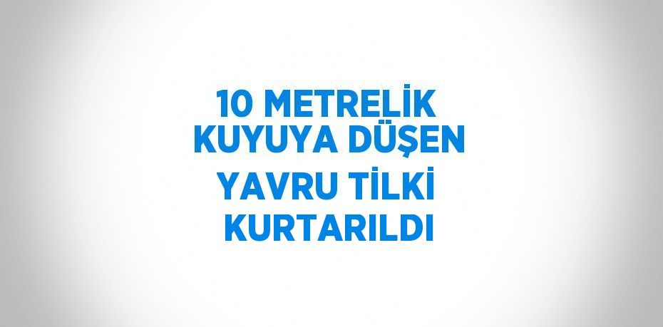 10 METRELİK KUYUYA DÜŞEN YAVRU TİLKİ KURTARILDI