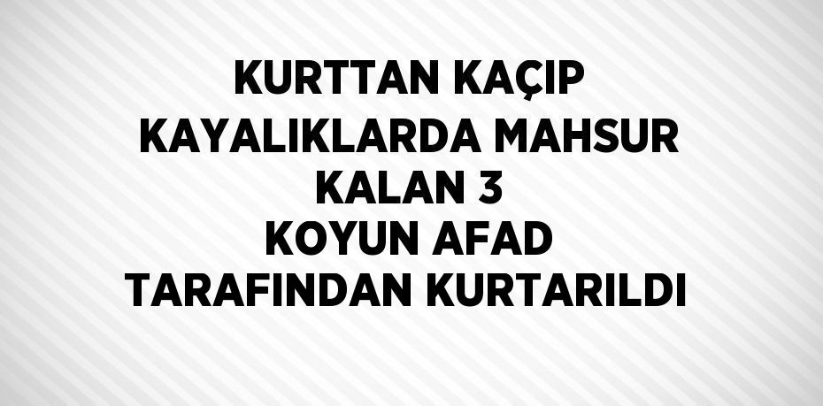 KURTTAN KAÇIP KAYALIKLARDA MAHSUR KALAN 3 KOYUN AFAD TARAFINDAN KURTARILDI