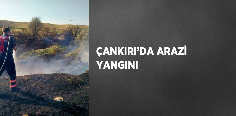 ÇANKIRI’DA ARAZİ YANGINI