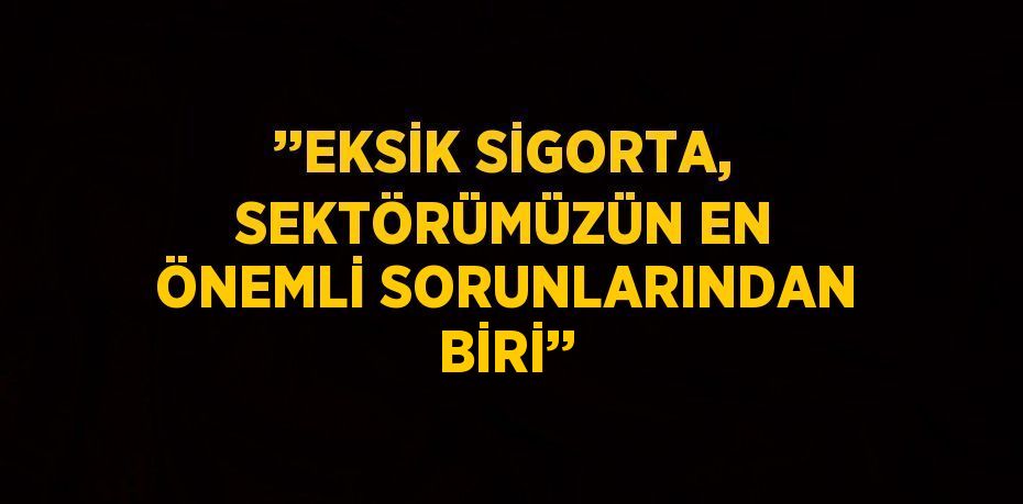’’EKSİK SİGORTA, SEKTÖRÜMÜZÜN EN ÖNEMLİ SORUNLARINDAN BİRİ’’