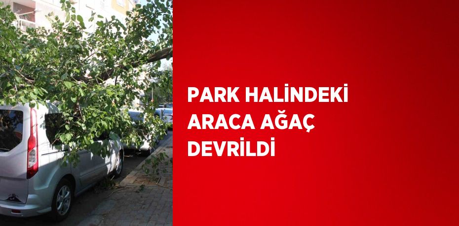 PARK HALİNDEKİ ARACA AĞAÇ DEVRİLDİ