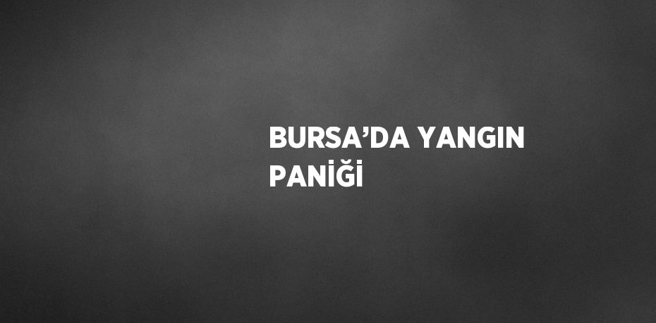 BURSA’DA YANGIN PANİĞİ