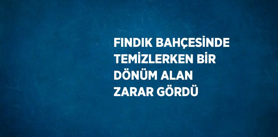 FINDIK BAHÇESİNDE TEMİZLERKEN BİR DÖNÜM ALAN ZARAR GÖRDÜ