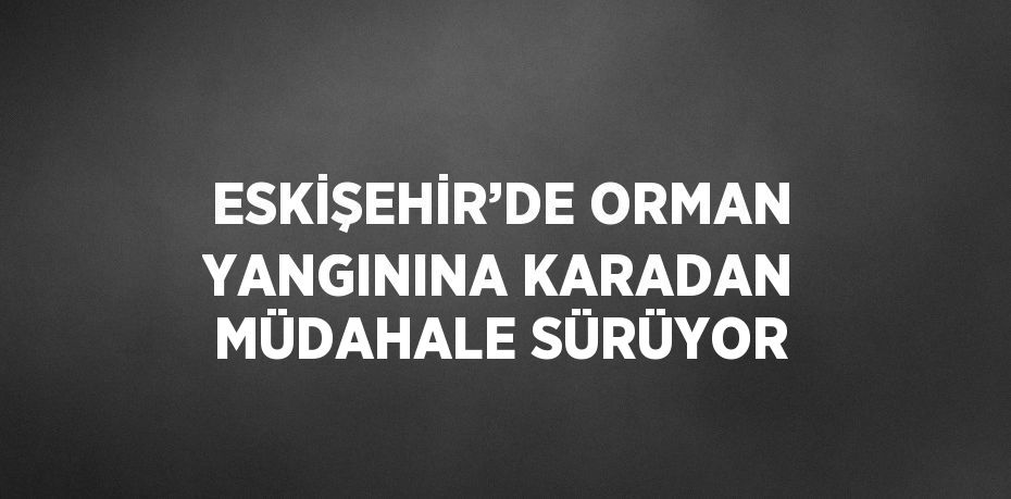 ESKİŞEHİR’DE ORMAN YANGININA KARADAN MÜDAHALE SÜRÜYOR