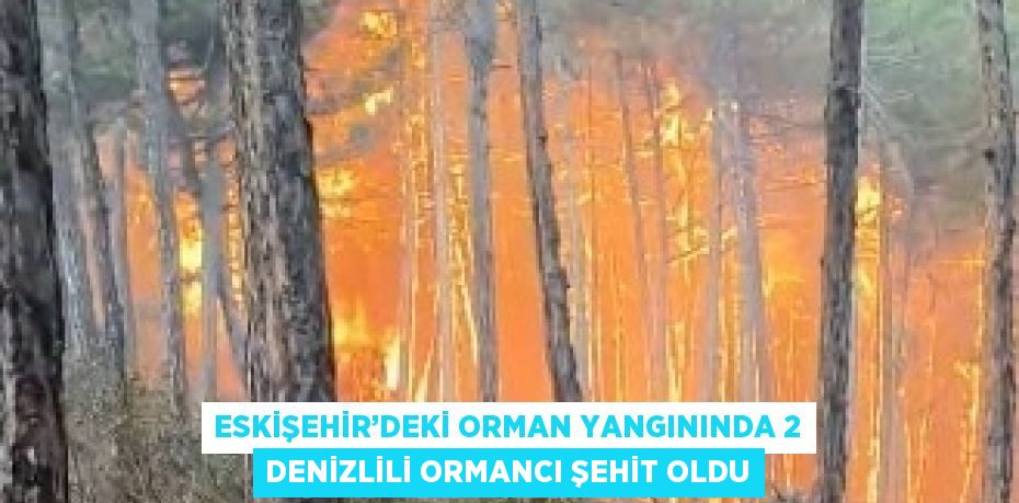 ESKİŞEHİR’DEKİ ORMAN YANGININDA 2 DENİZLİLİ ORMANCI ŞEHİT OLDU