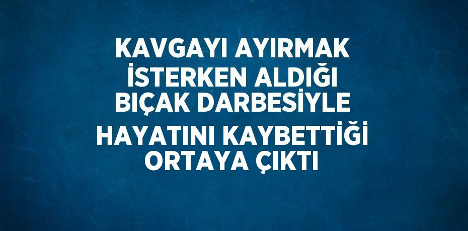 KAVGAYI AYIRMAK İSTERKEN ALDIĞI BIÇAK DARBESİYLE HAYATINI KAYBETTİĞİ ORTAYA ÇIKTI
