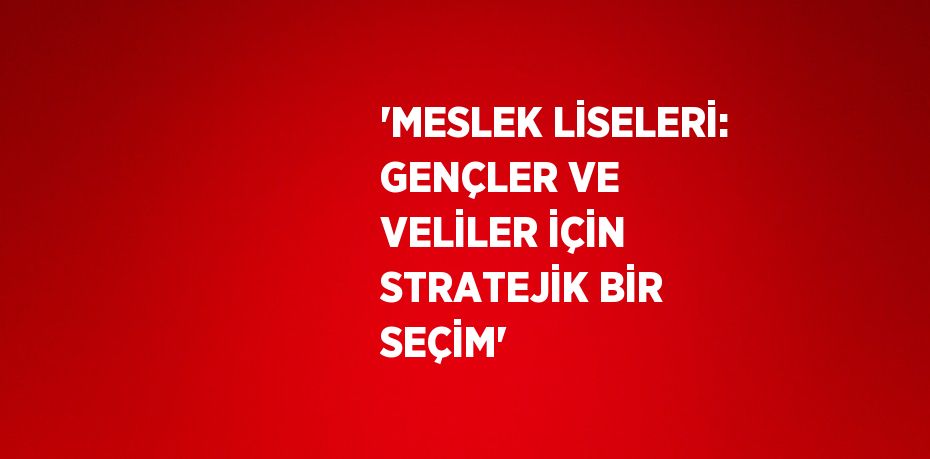 'MESLEK LİSELERİ: GENÇLER VE VELİLER İÇİN STRATEJİK BİR SEÇİM'