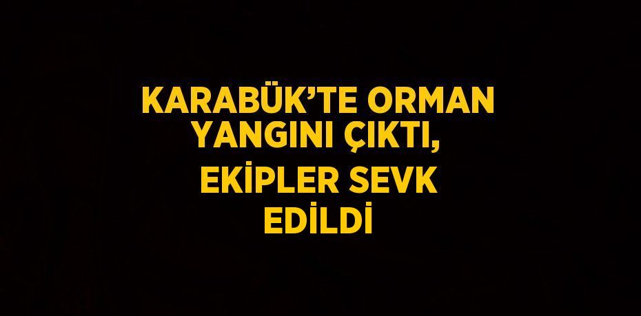 KARABÜK’TE ORMAN YANGINI ÇIKTI, EKİPLER SEVK EDİLDİ