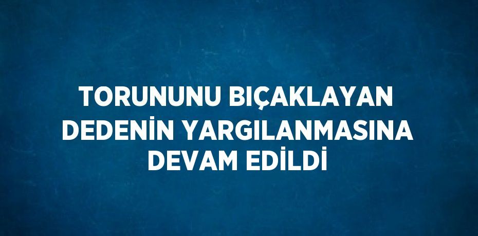 TORUNUNU BIÇAKLAYAN DEDENİN YARGILANMASINA DEVAM EDİLDİ