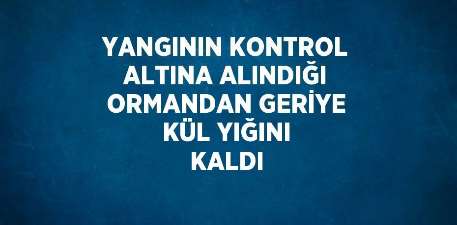 YANGININ KONTROL ALTINA ALINDIĞI ORMANDAN GERİYE KÜL YIĞINI KALDI
