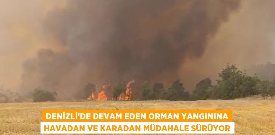 DENİZLİ’DE DEVAM EDEN ORMAN YANGININA HAVADAN VE KARADAN MÜDAHALE SÜRÜYOR