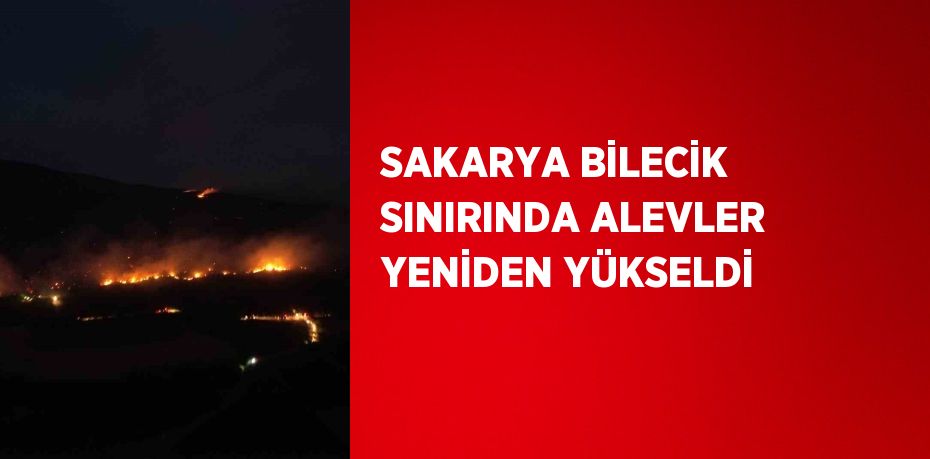 SAKARYA BİLECİK SINIRINDA ALEVLER YENİDEN YÜKSELDİ