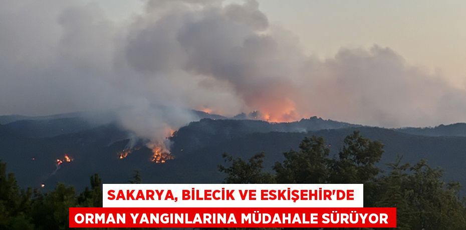 Sakarya, Bilecik ve Eskişehir'de orman yangınlarına müdahale sürüyor